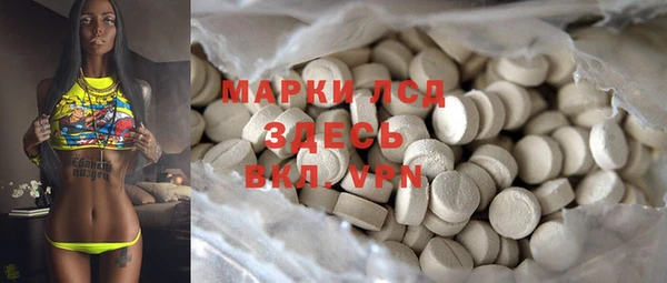 прущие грибы Аркадак