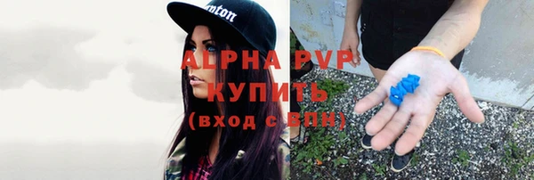 шишки Саяногорск
