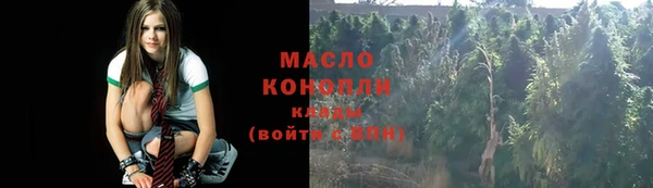 шишки Саяногорск