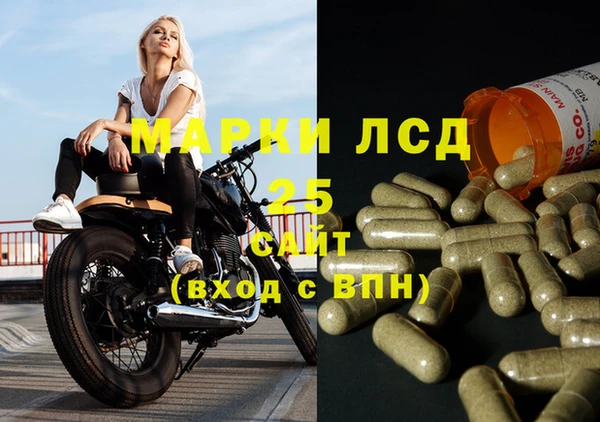 прущие грибы Аркадак
