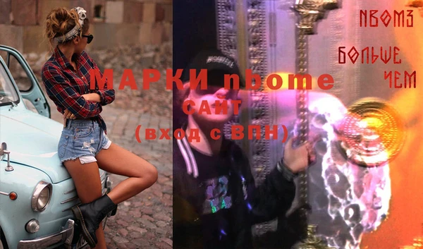 шишки Саяногорск