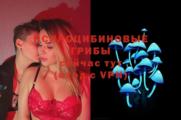 прущие грибы Аркадак