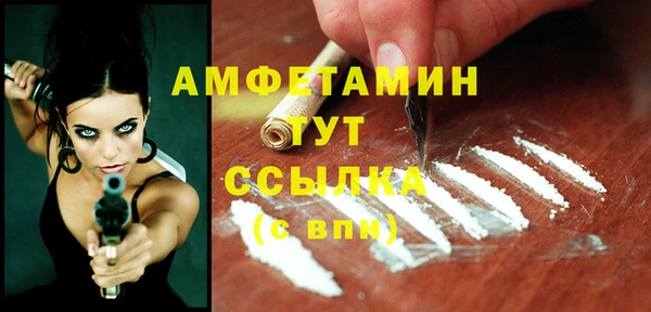 прущие грибы Аркадак