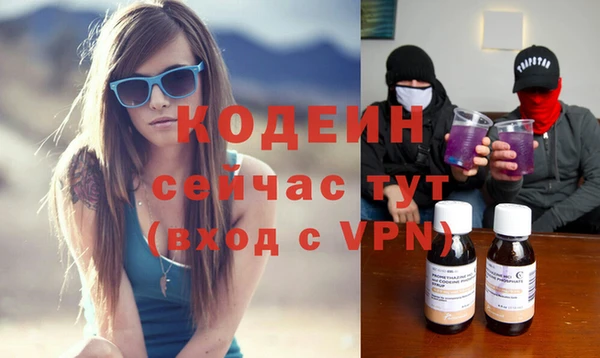 спиды Арсеньев