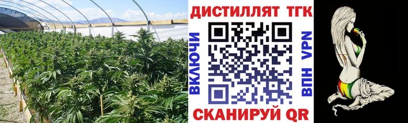 ТГК гашишное масло Сасово